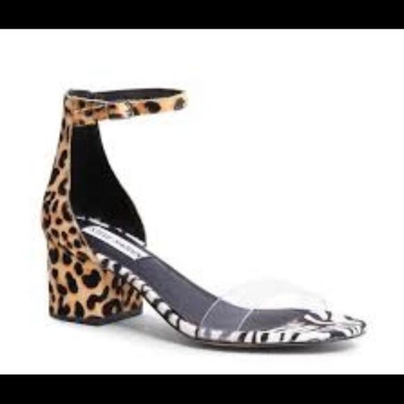 STEVE MADDEN IRENNEA LEOPARD PLASTIC FRONT…‎ - Picture 2 of 6